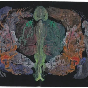 Print December 2022 001