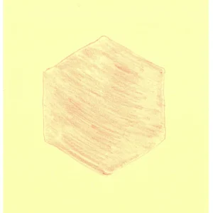 Geometric Rose 2021 dc04