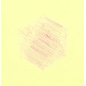 Geometric Rose 2021 dc05