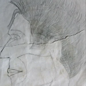 Portrait of Donovan 1987