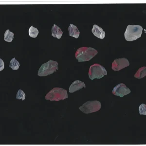 Print December 2022 010