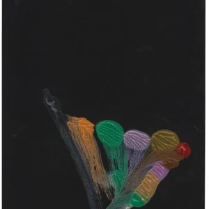 Print December 2022 005