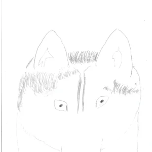 Grey Husky Print December 2021