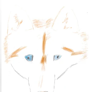 Orange Husky Print December 2021 002